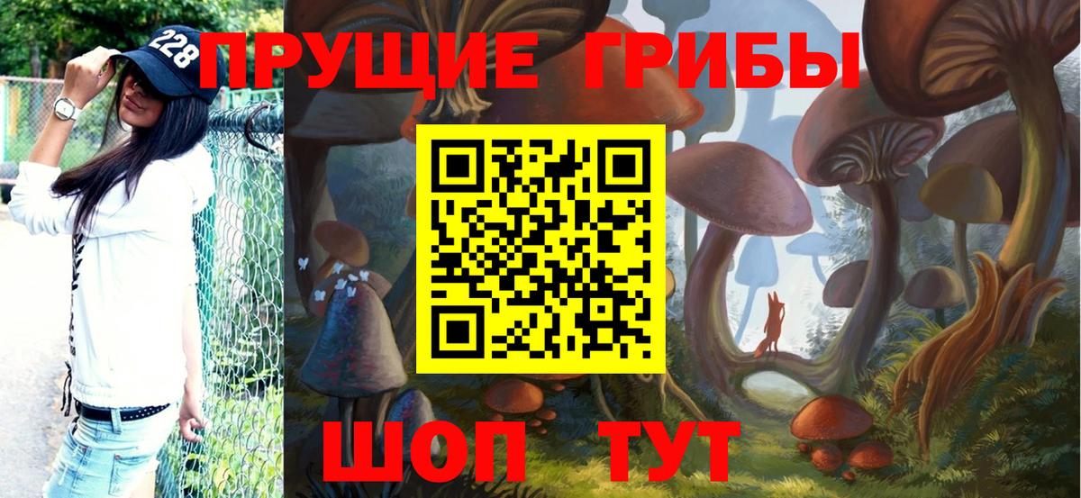 Псилоцибиновые грибы Cubensis  где найти наркотики  Коркино  Вход с VPN  Псилоцибиновые грибы ЛСД 
